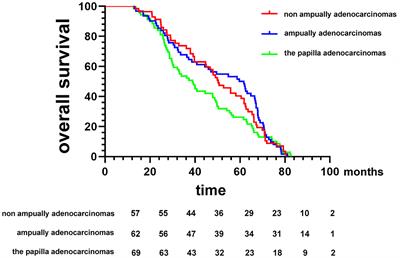 Prognostic Factors and Clinical Characteristics of Duodenal Adenocarcinoma With Survival: A Retrospective Study